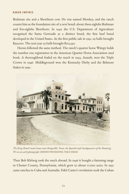 Sample page 2